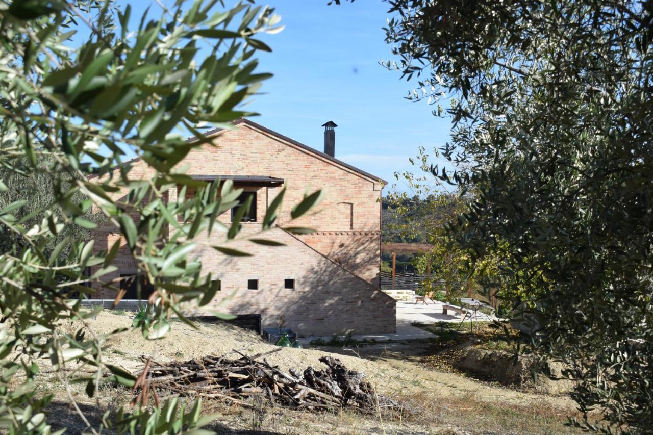 Monna Terra B&B Fermo Dış mekan fotoğraf