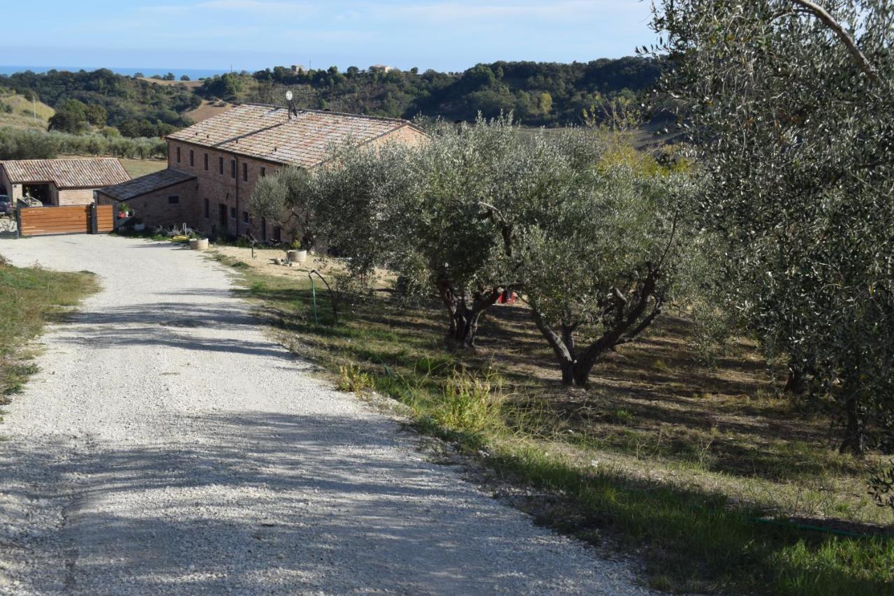 Monna Terra B&B Fermo Dış mekan fotoğraf