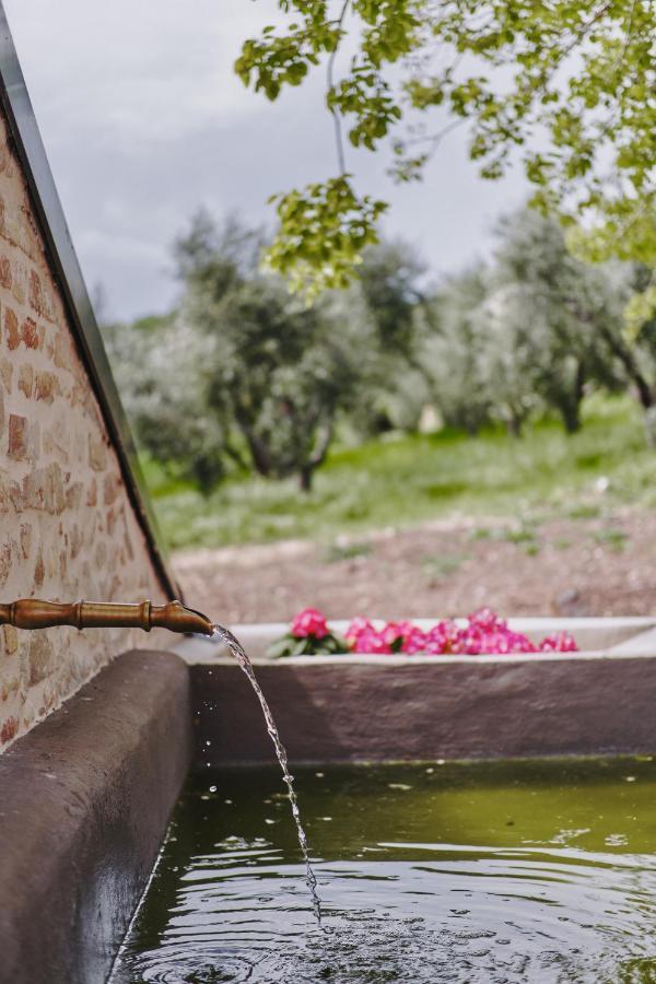 Monna Terra B&B Fermo Dış mekan fotoğraf